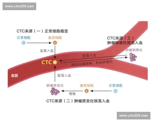 全面解析体育赛事全流程管理与组织运营关键环节